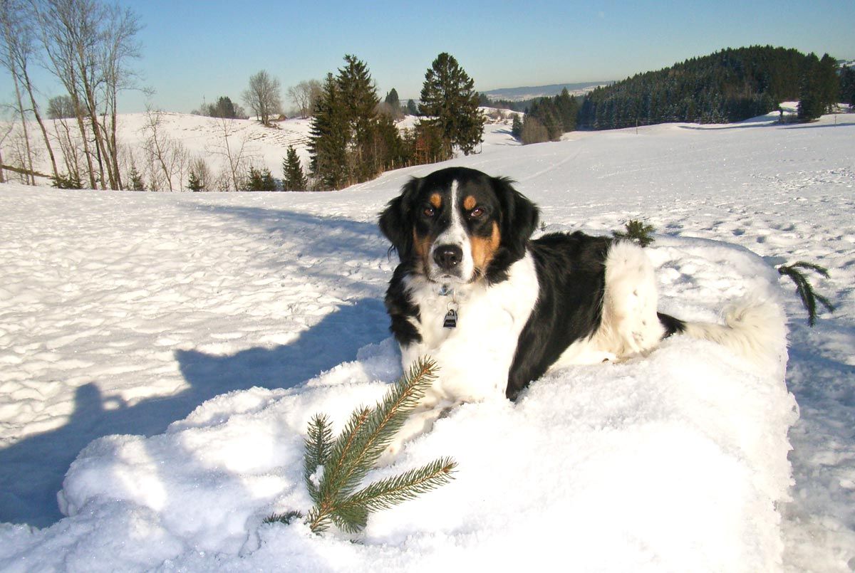 Auch im Winter ist es schön