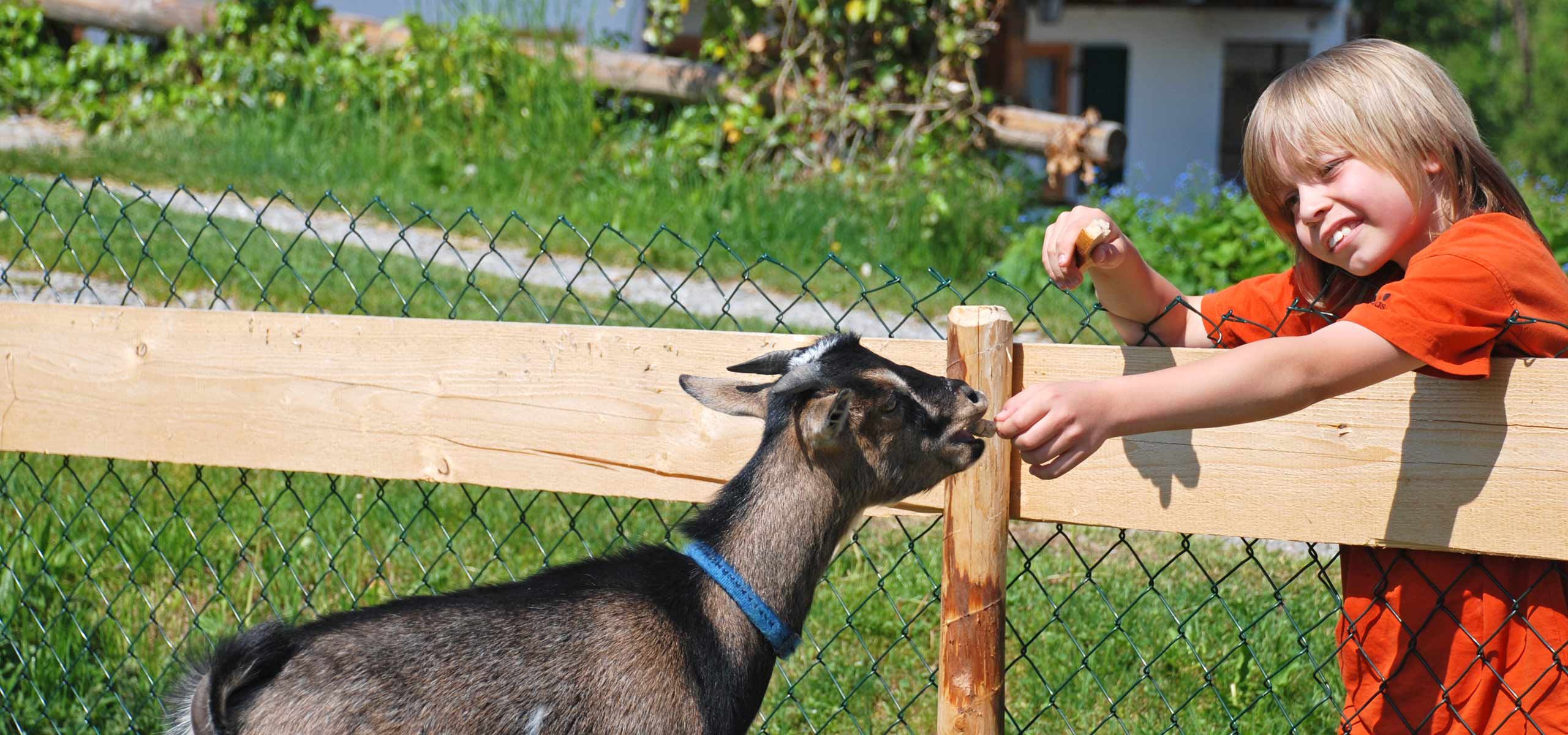 Kinderferien bei Gmeinders