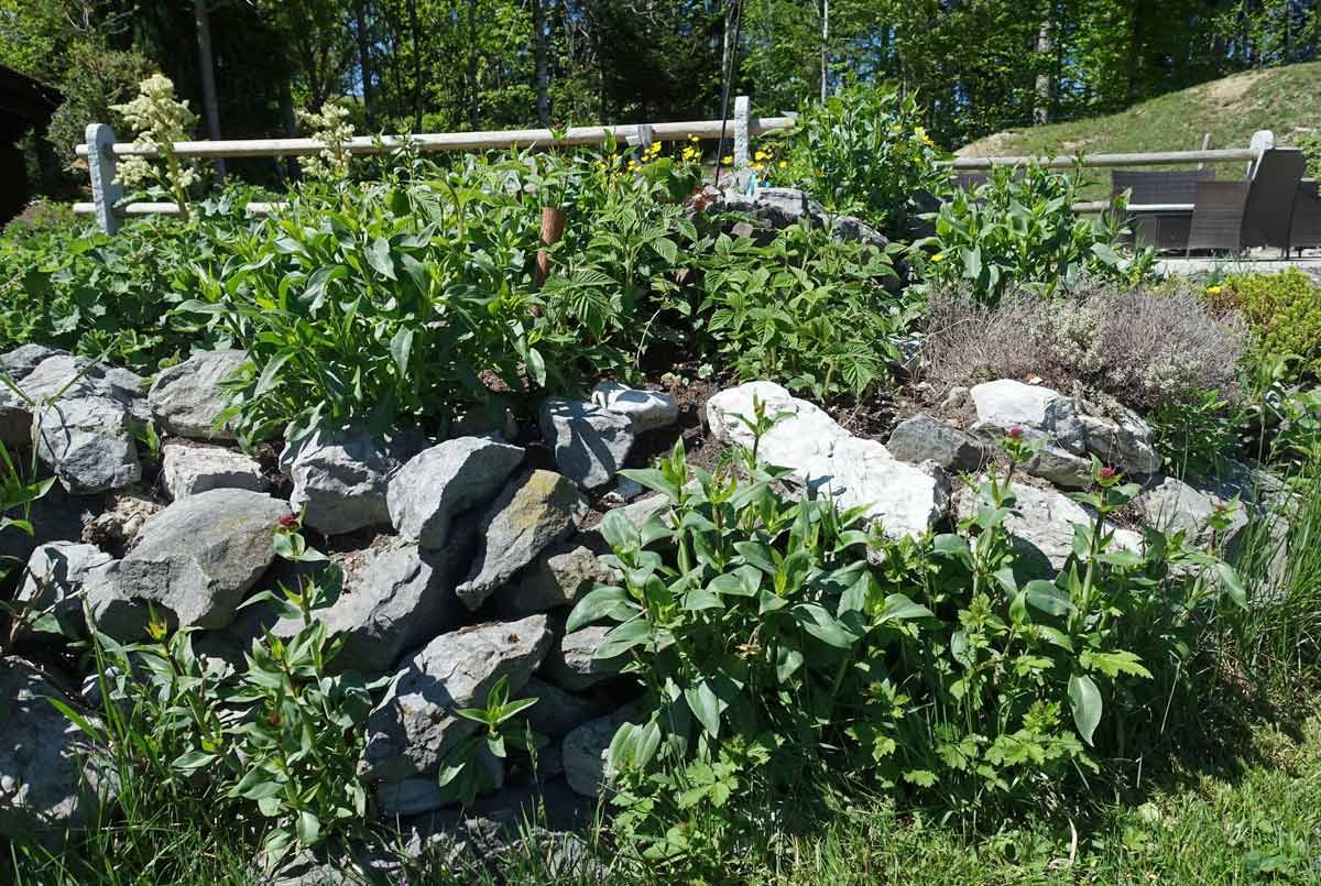 Kräutergarten