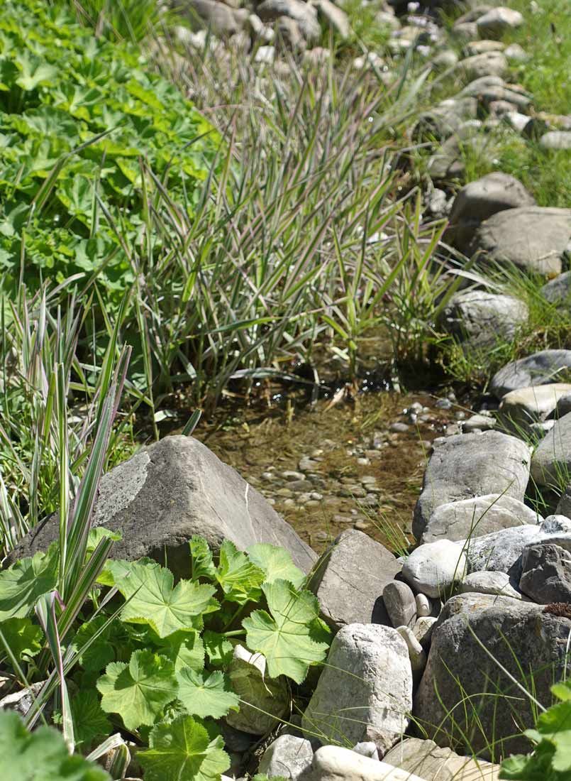 Bächlein im Garten